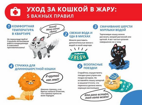 Альфа ООО ветеринарный