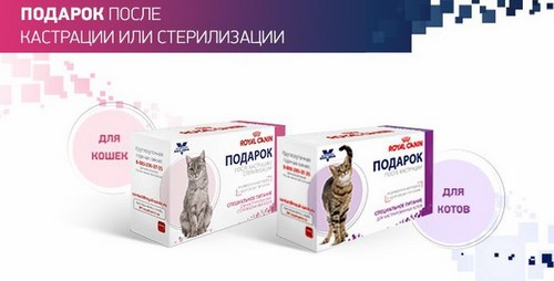 Альфа