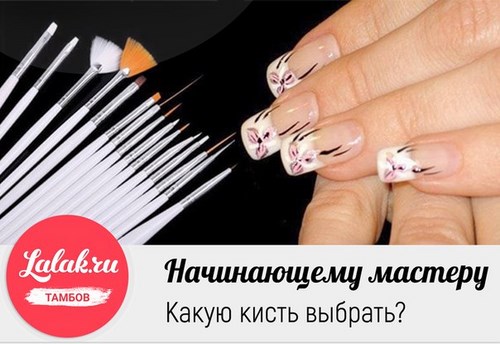 Картинка Lalak.ru академия