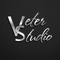 Логотип компании Veter-Studio, фотостудия