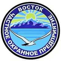 Логотип компании Восток, ООО, частное охранное предприятие